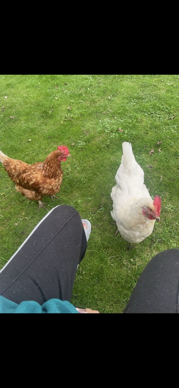 Elsa & Heihei